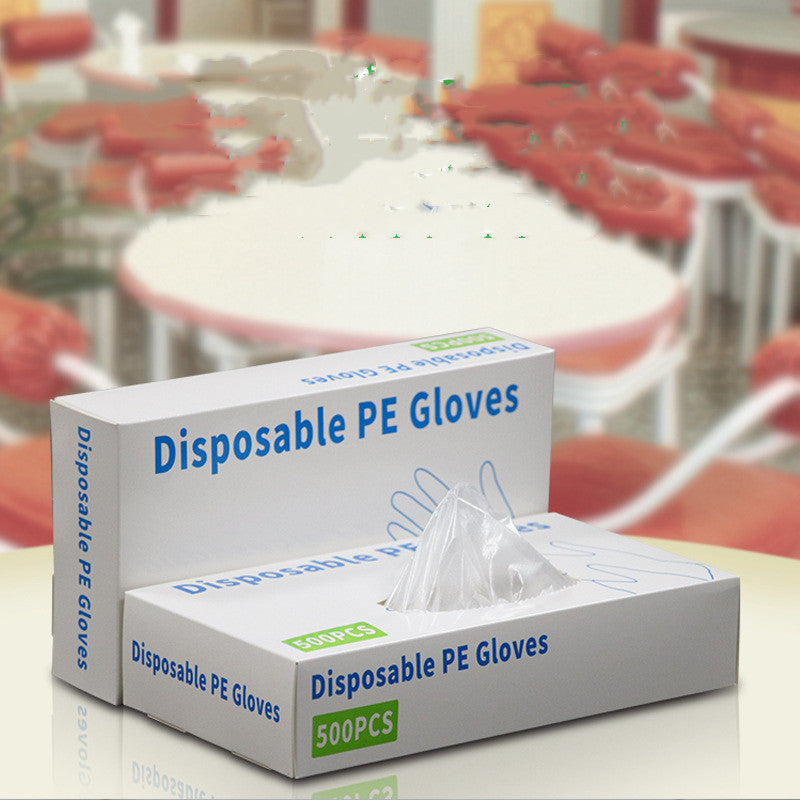 Disposable Boxed Film PE Gloves English Version 500 Transparent Thickened Dustproof