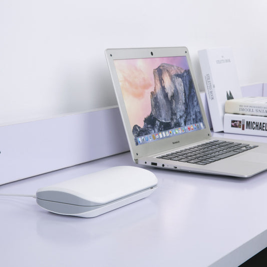 Purification and disinfection box