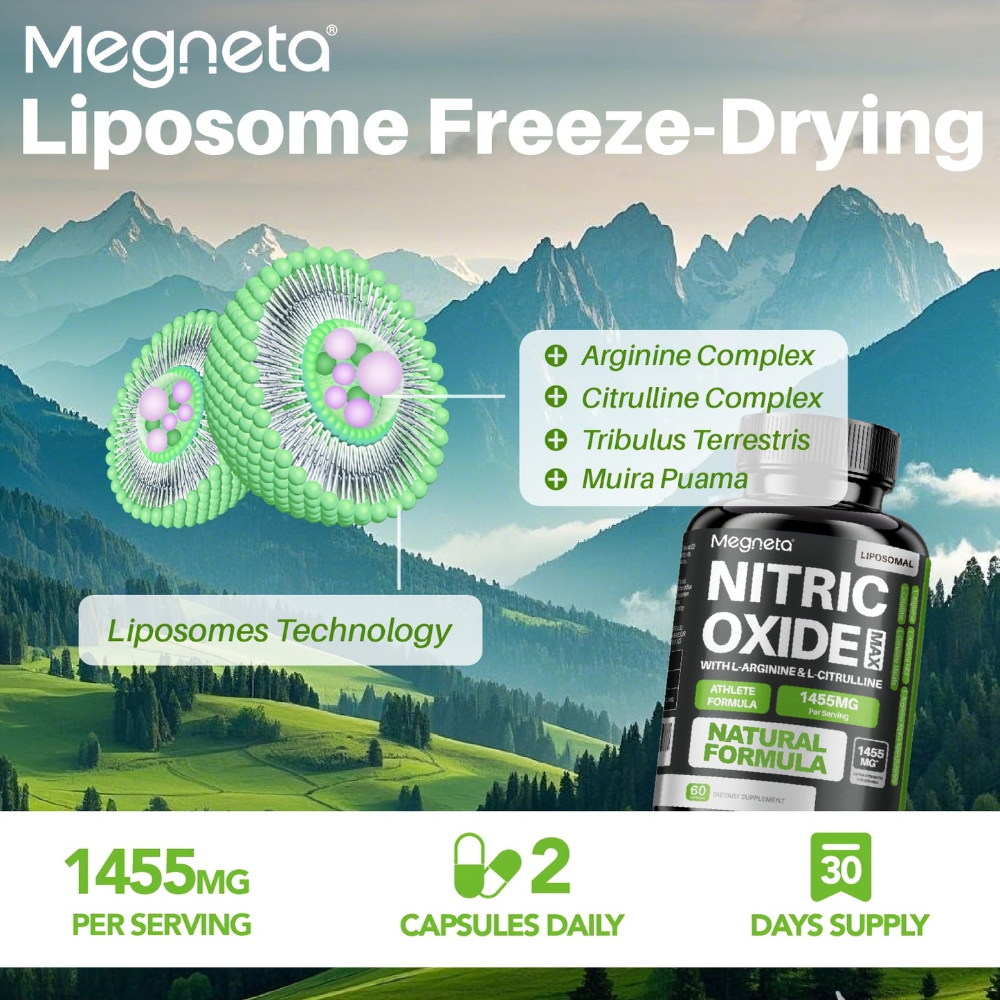 Megneta Nitric Oxide, Men's Vitality Supplement for Energy and Focus, Healthy Blood Flow, Cardiovascular Health, with L Arginine & L Citrulline - 60 capsules