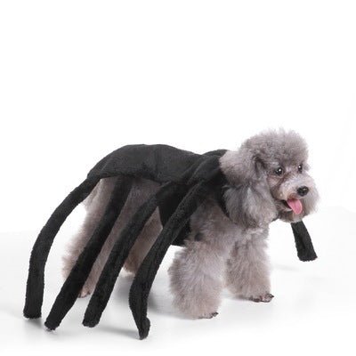 Halloween Christmas dog clothes