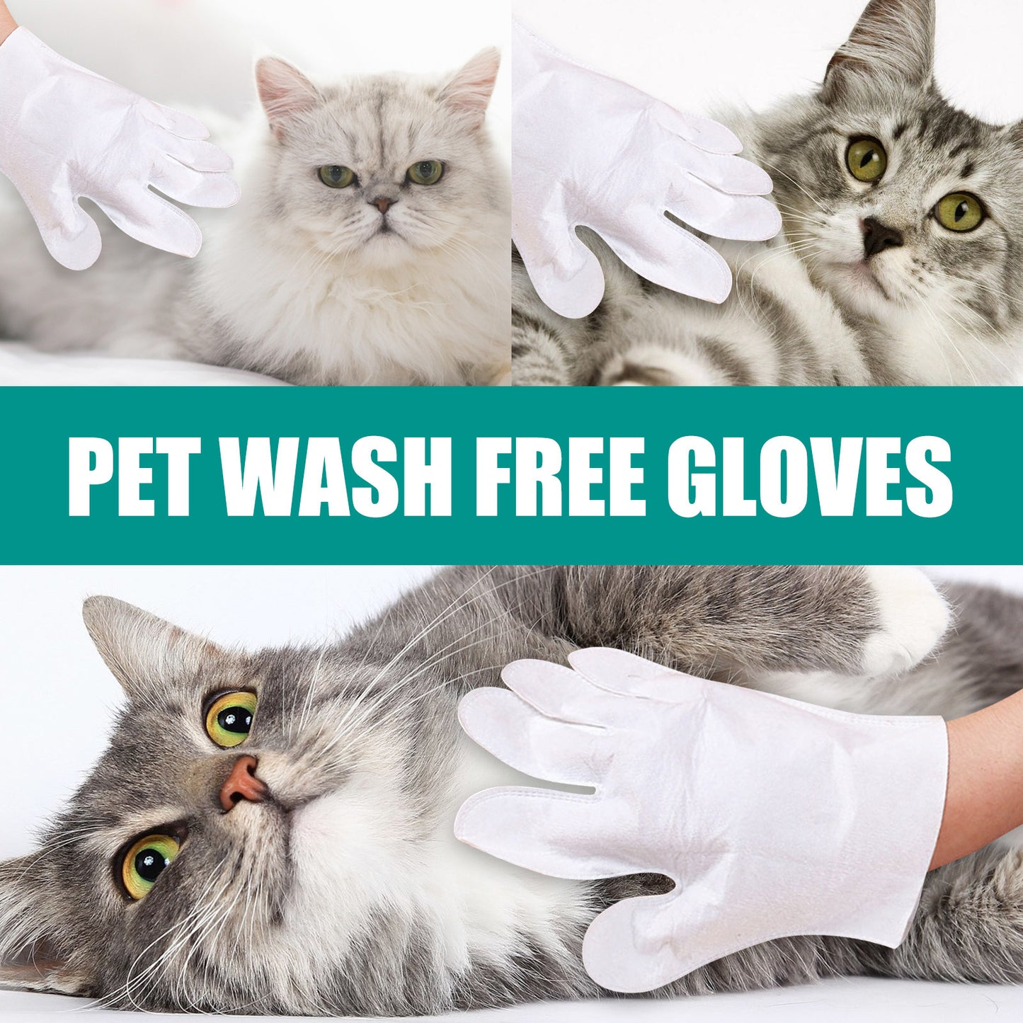 Disposable Disposable Pet Disposable Gloves