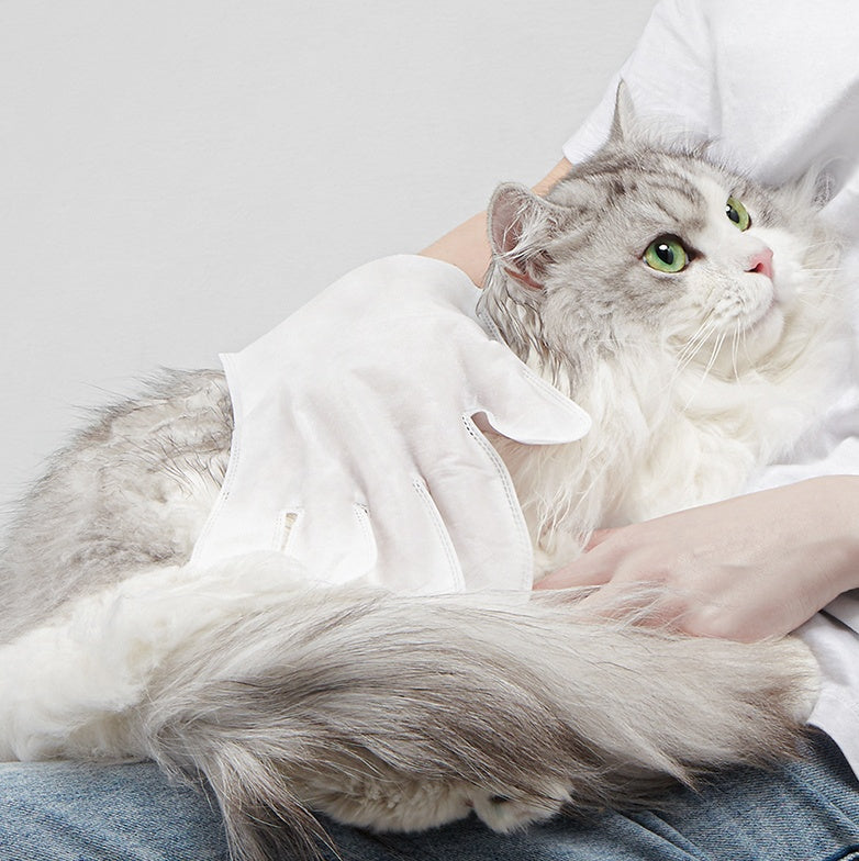 Pet Cat Disposable Gloves Dry Cleaning