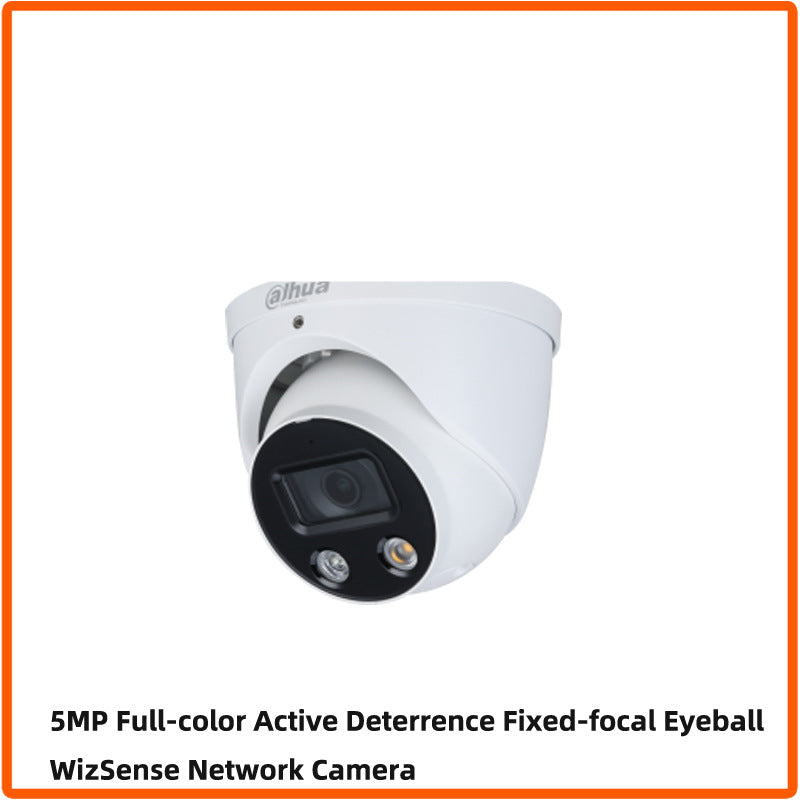 English Version 5 Million Full Color POE Network Camera - MediaEclat.store