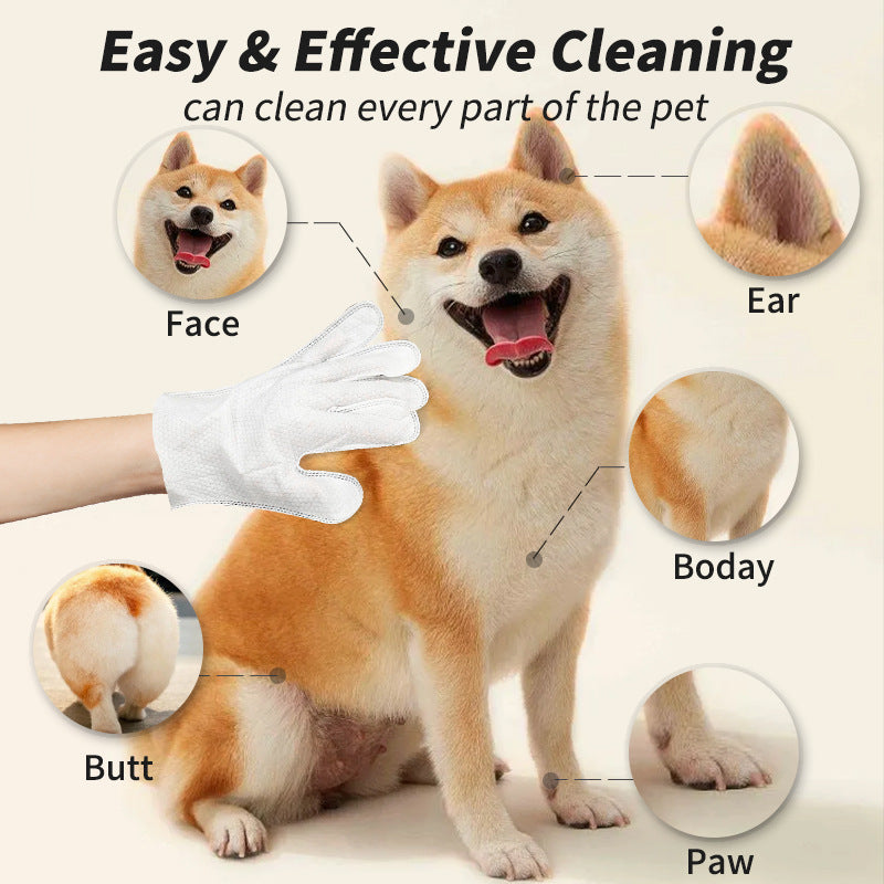 Pet Disposable Gloves Cat Dog Cleaning Dry Cleaning Gloves Pet Products