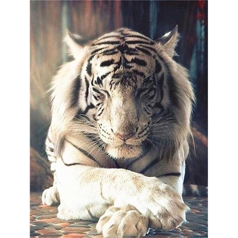 White Tiger Paint By Numbers