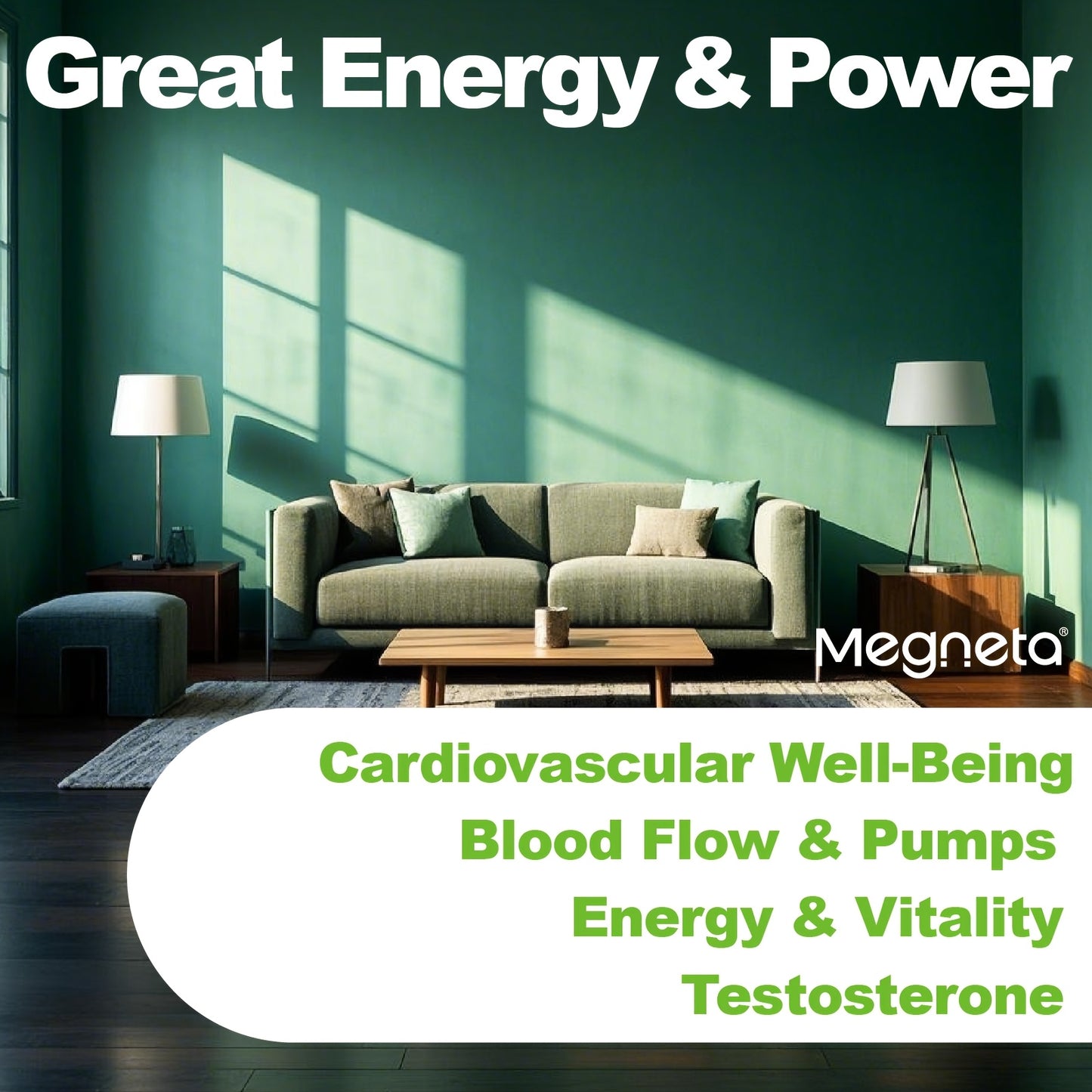 Megneta Nitric Oxide, Men's Vitality Supplement for Energy and Focus, Healthy Blood Flow, Cardiovascular Health, with L Arginine & L Citrulline - 60 capsules